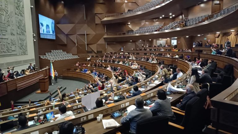 Asamblea Legislativa Bolivia Foto: ABI