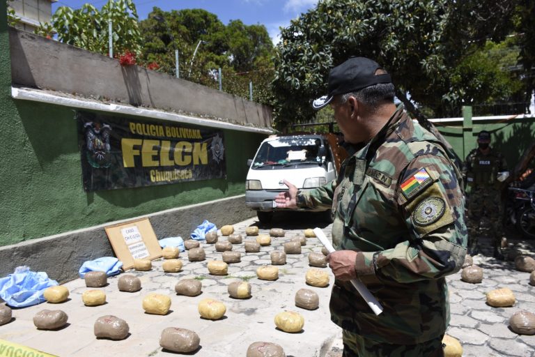Operativos antidroga de la FELCN Foto: Viceministerio de Sustancias Controladas