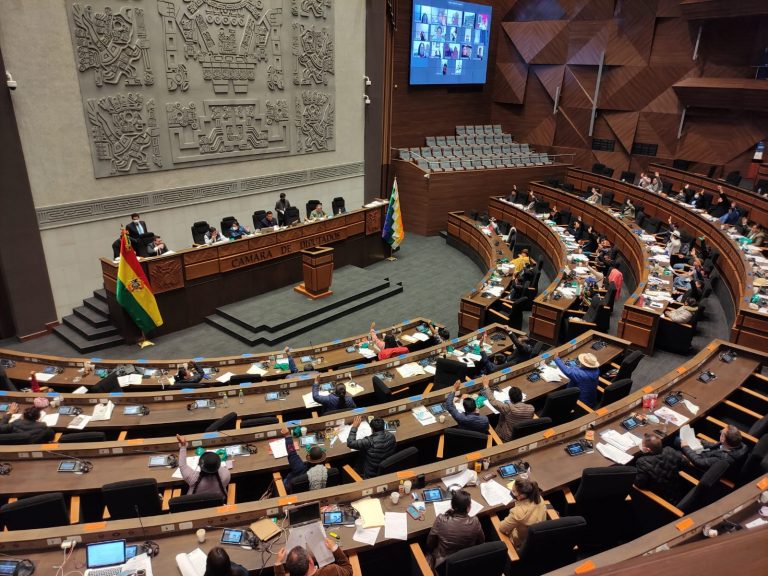 Sesión de la Cámara de Diputados Foto: Cámara de Diputados
