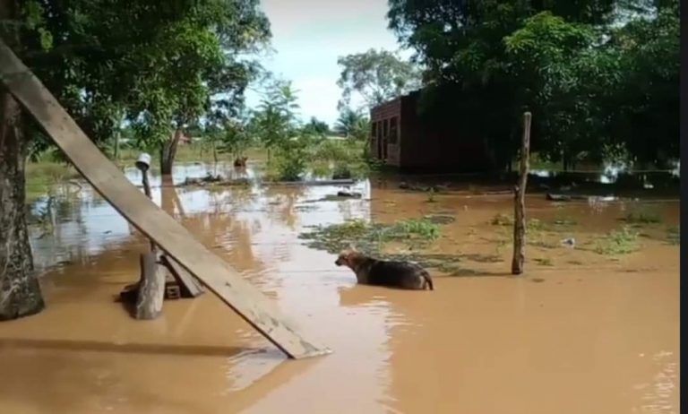 Inundaciones por desborde del río Maniqui Foto: NOTI RIBER