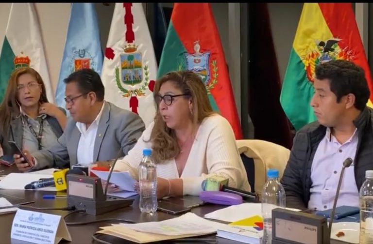 Comisión Mixta de Constitución