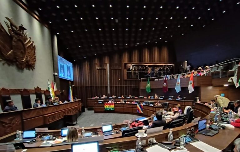 Cámara de Senadores en sesión