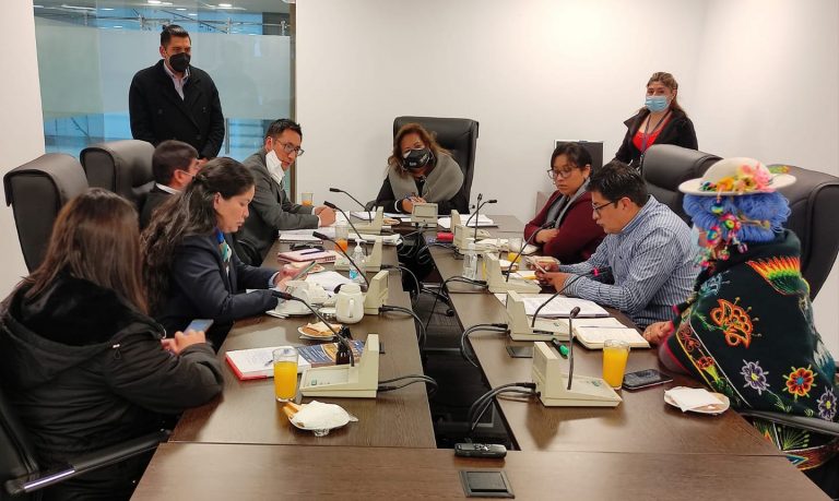 Comisión de Derechos Humanos en la Cámara de Diputados Foto: CÁMARA DE DIPUTADOS