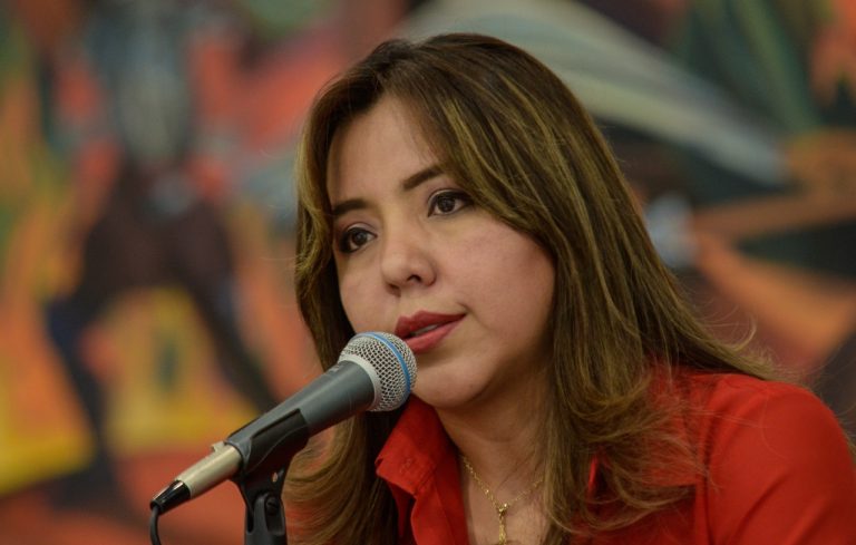 Gabriela Alcón - viceministra de Comunicación