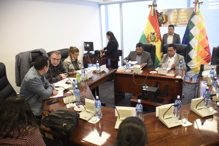 Comisión de Constitución sobre proyecto de ley para sancionar pederastia