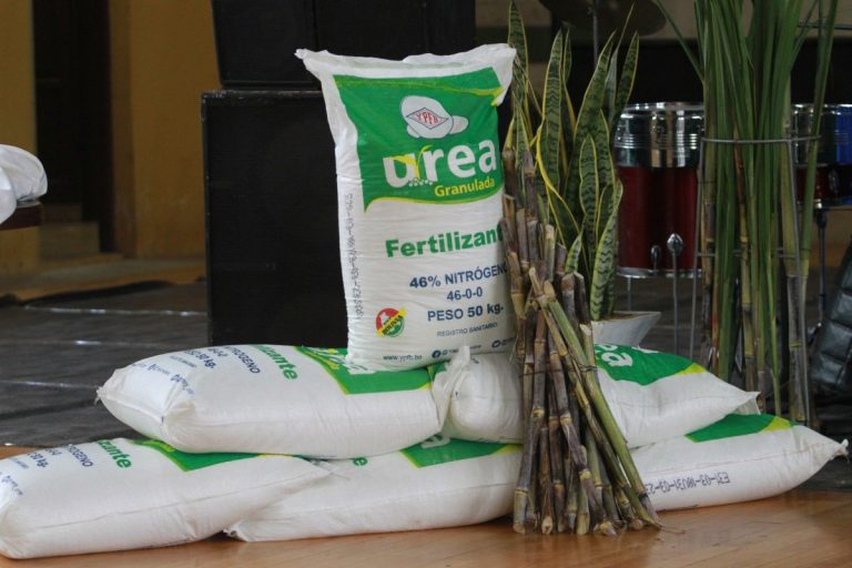 Urea boliviana genera demanda en siete naciones y YPFB alista una segunda planta Foto: ABI