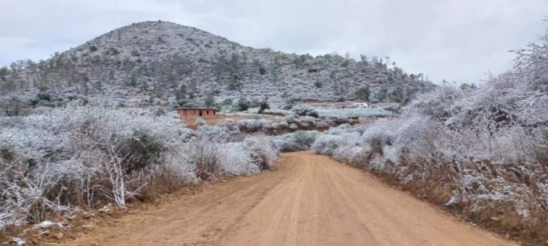 Temporal climático en Tarija Foto: El País