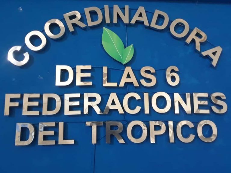 Coordinadora de las Seis Federaciones del Trópico de Cochabamba /Imagen Ilustrativa/