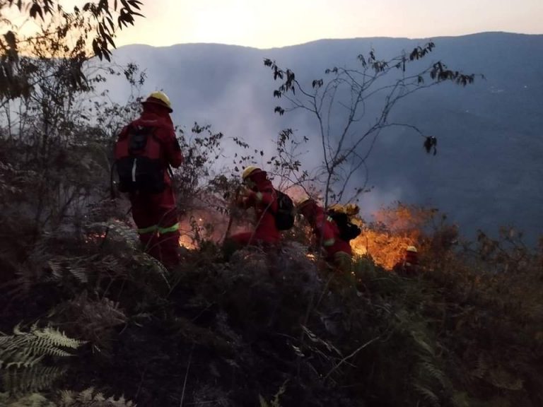 Incendios en La Paz /Imagen de referencia/ Foto: Ministerio de Defensa