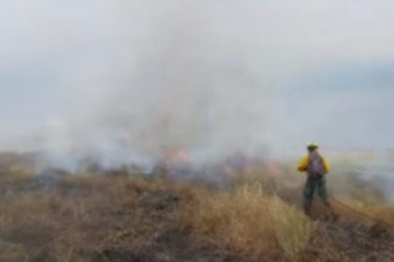 Incendios en Bolivia /Imagen de referencia/ Foto: ABI