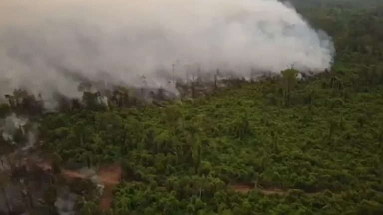 Incendios forestales en Santa Cruz Foto: Gobernación de Santa Cruz