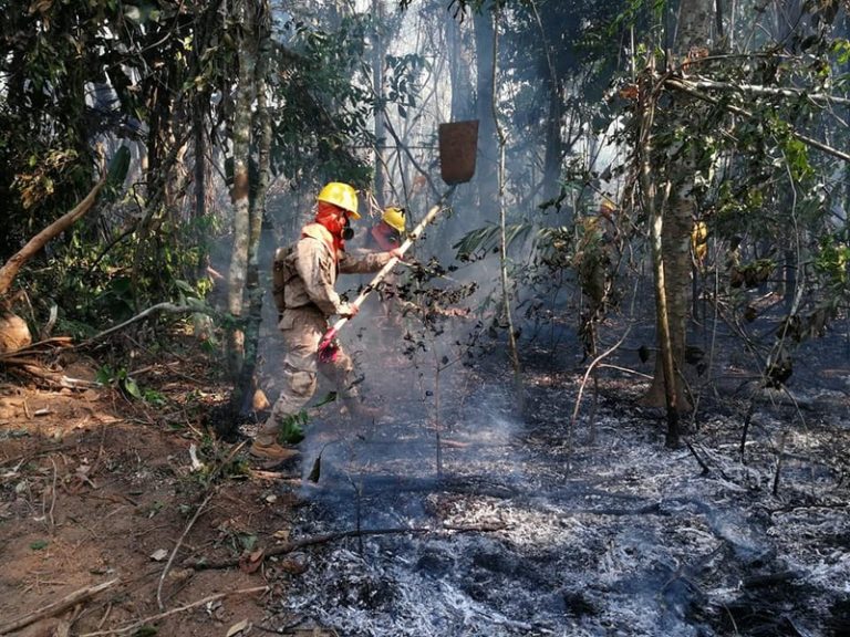 Incendios /Foto: ABI