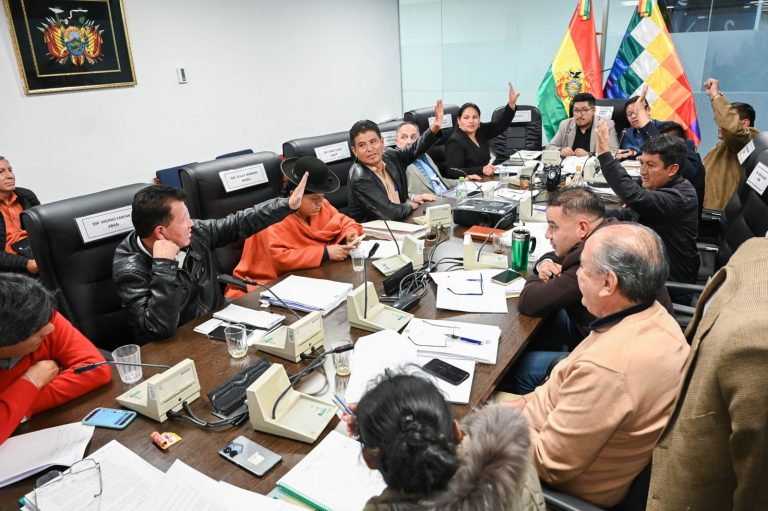 Sesión de la Comisión de Planificación, Política Económica y Finanzas de la Cámara de Diputados. Foto: MEyFP