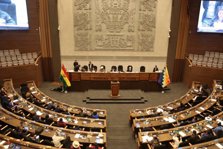 Cámara de Diputados /Foto: ABI