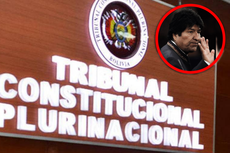 Tribunal Constitucional Plurinacional TCP de Bolivia