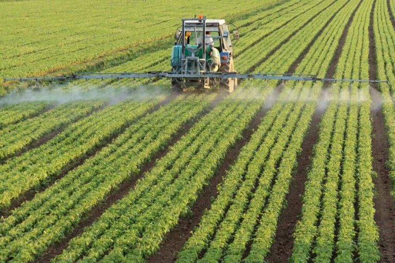 Agro en el oriente boliviano /Imagen Ilustrativa/Foto: CAO