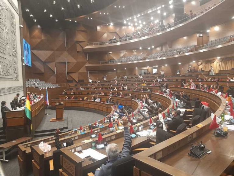 Aprueban ley de judiciales en diputados /Foto: ABI
