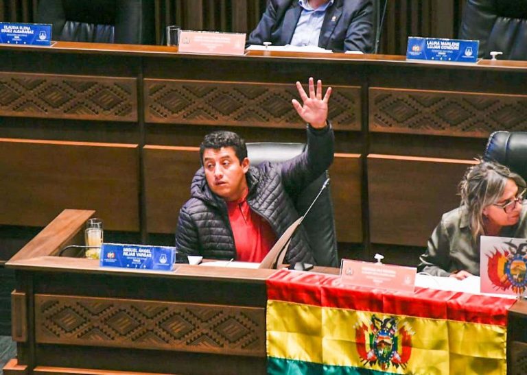 Miguel Rejas - senador MAS /Imagen ilustrativa/ Foto: Twitter Miguel Rejas