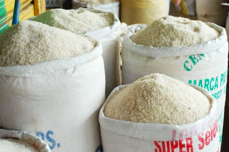 Arroz /Imagen de referencia/ Foto: LA CASE
