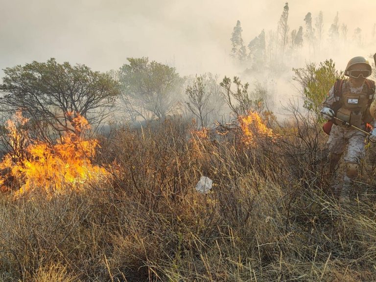 Incendios en Bolivia /Imagen Ilustrativa/ Foto: ABI