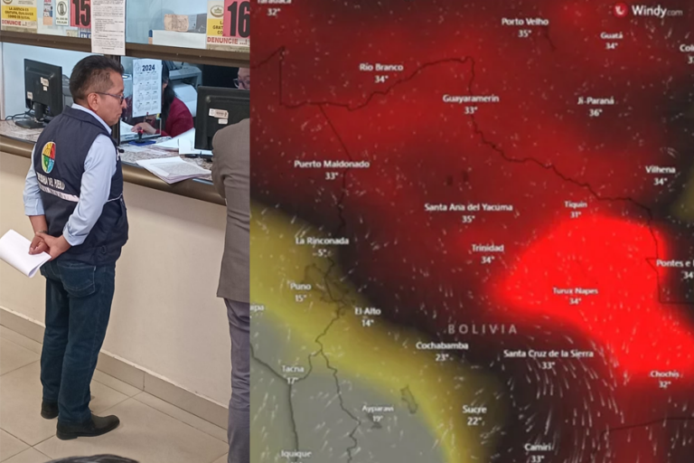 Defensor del Pueblo/Mapa satelital de incendios