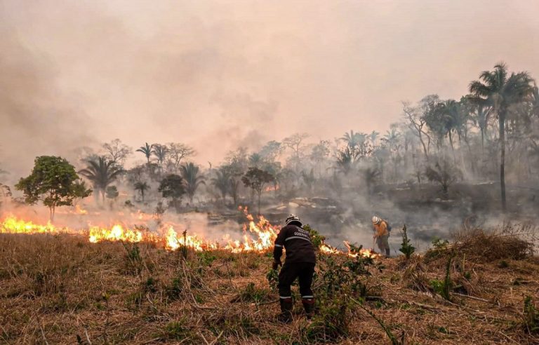 Incendios en Bolivia /Imagen de referencia/ Foto: ABI