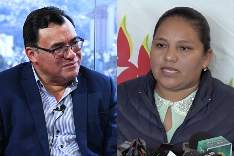 Jerjes Mercado y Deisi Choque diputados del MAS arcista