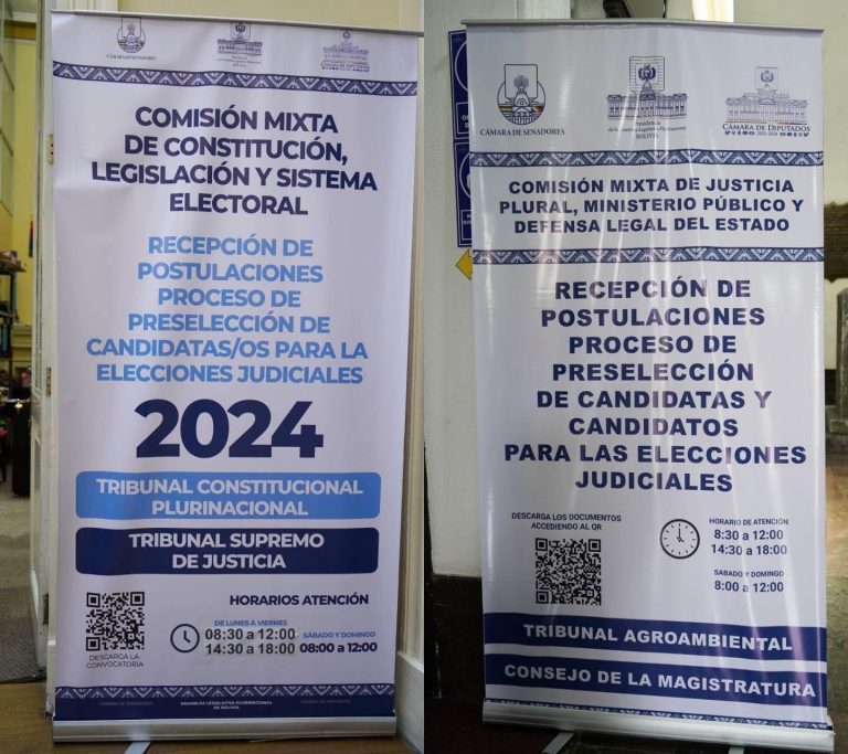 Elecciones judiciales /Foto: Cámara de Diputados/