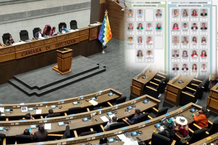 Cámara de Diputados y boleta electoral