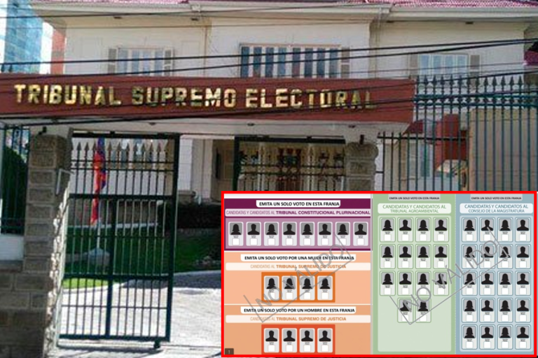 Tribunal Supremo Electoral y elecciones judiciales