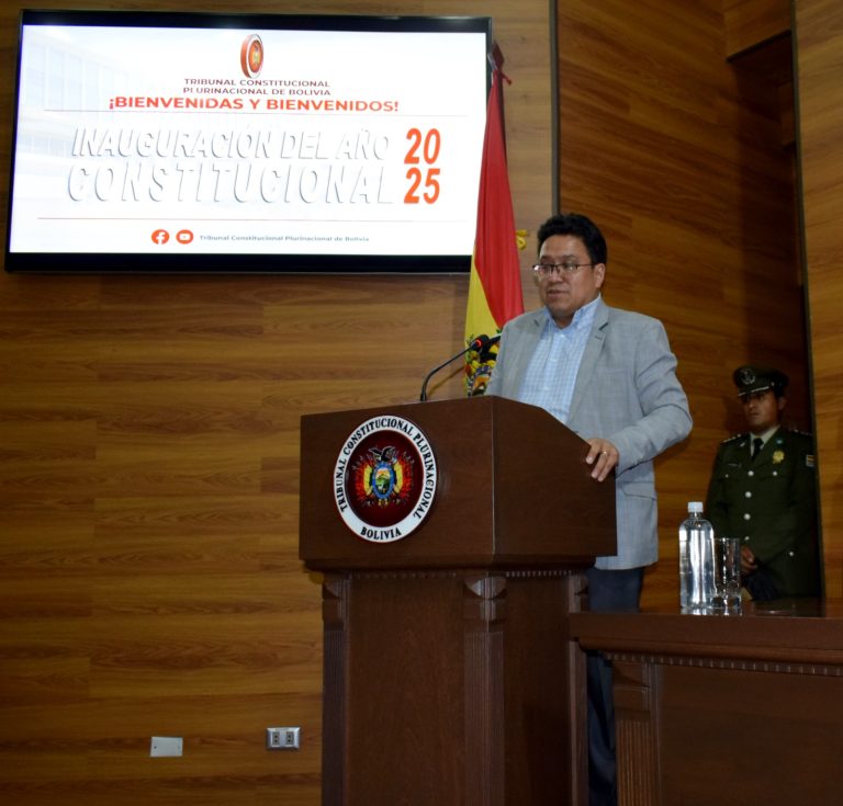 Ministro de Justicia, César Siles en el TCP / Foto: TCP Facebook