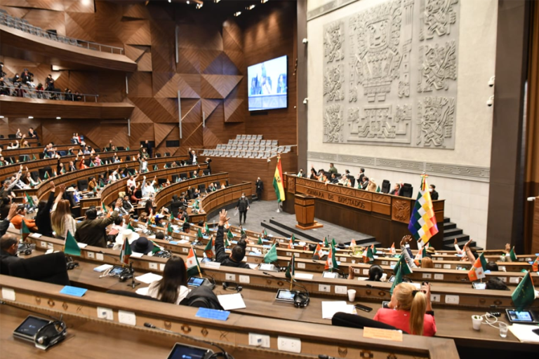 Cámara de Diputados / Foto: ABI