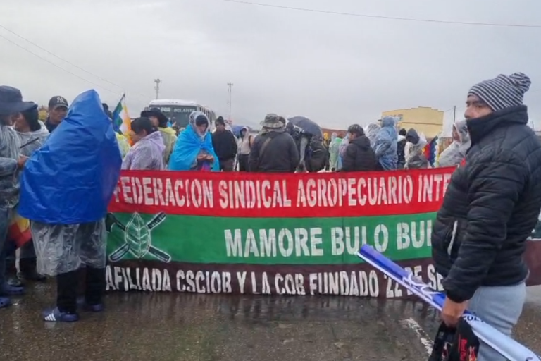Marcha evista en Ayo Ayo, enero 2025 /Foto: Captura de Pantalla