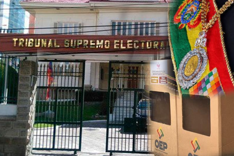 Tribunal Supremo Electoral banda y medalla presidencial