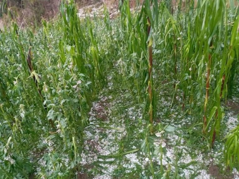 Granizada en Potosí /Imagen de referencia/ Foto: El Potosí