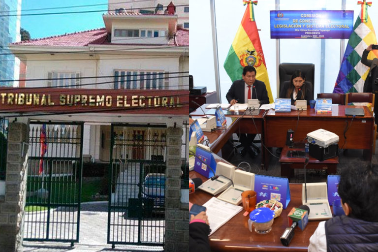 Tribunal Supremo Electoral (TSE) / Comisión de Constitución