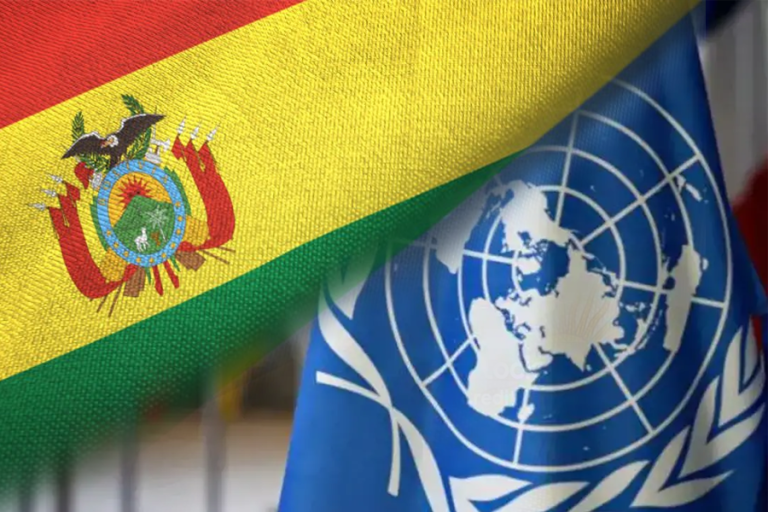 Bandera Bolivia - ONU