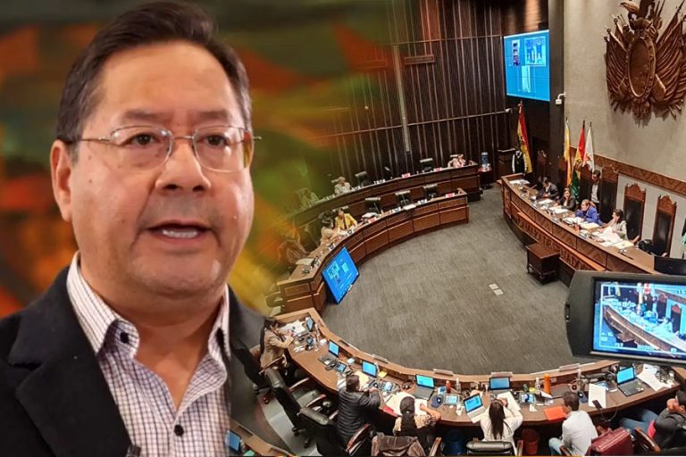 Luis Arce y Càmara de Senadores /Imagen Ilustrativa/