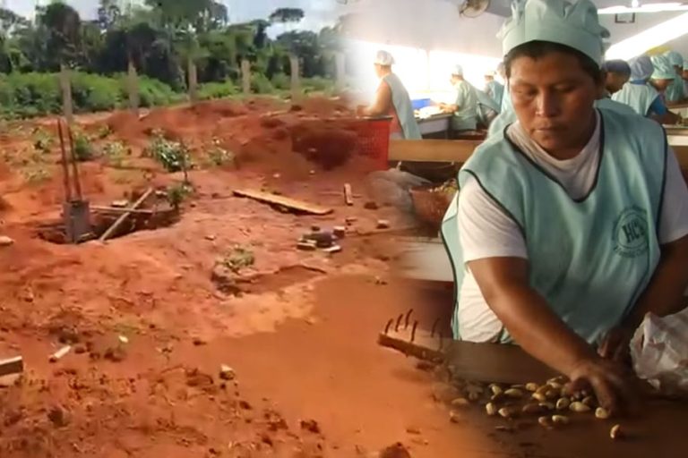 Terreno de la planta procesadora