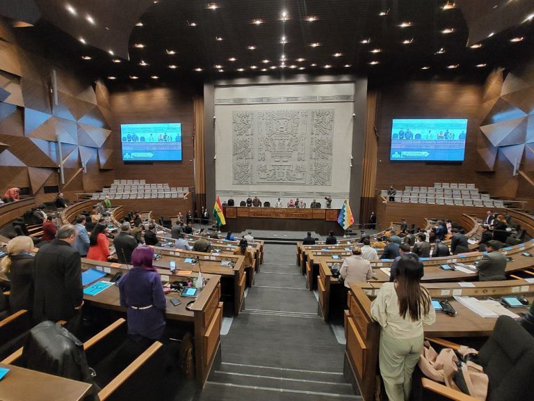 Sesión en la Cámara de Diputados / Foto: Facebook Cámara de Diputados /