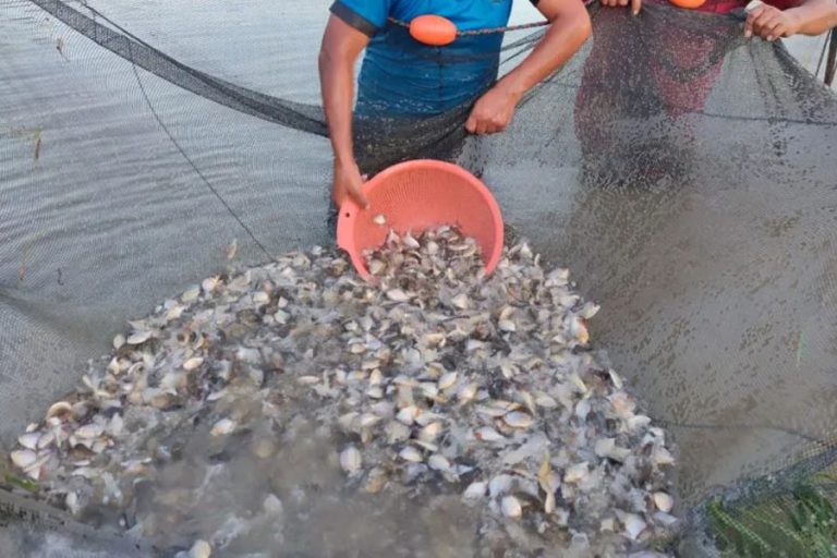 Piscicultores del Trópico de Cochabamba /Imagen de referencia/