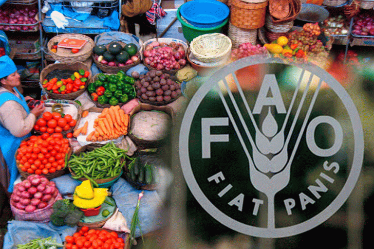 Verduras en mercados y logo de la FAO /Imagen Ilustrativa/