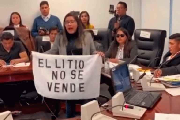 Lissa Claros - dip potosina irrumpe la sesión de la Comisión de Economía