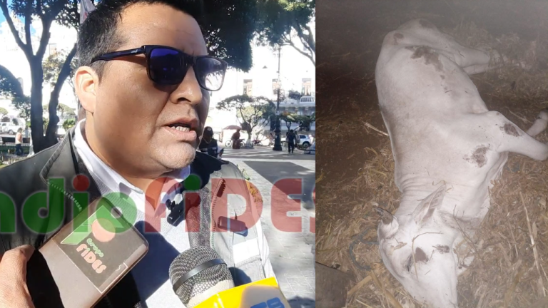 Marcial Navarro - Senasag Regional Chuquisaca