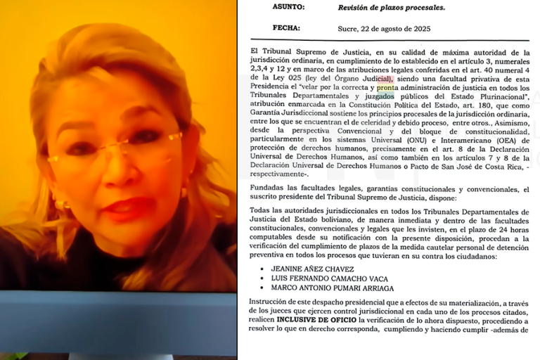 Audiencia de Jeanine Añez e instrucción para revisión de plazos procesales