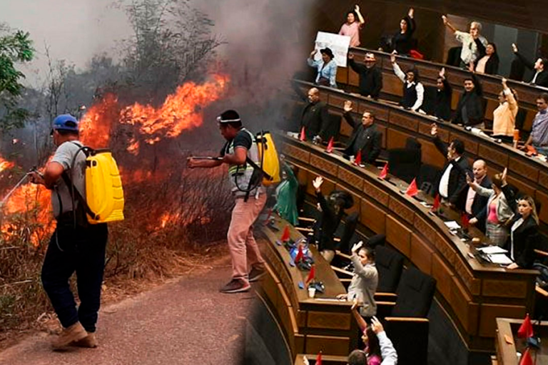Incendios y Asamblea Legislativa