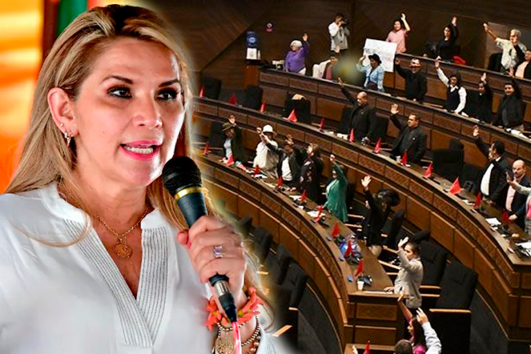 Jeanine Añez y Asamblea Legislativa