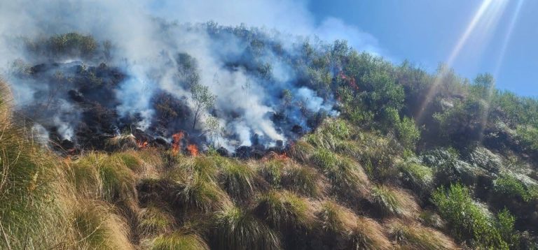 Incendio en Toro Toro /Foto: NDN/