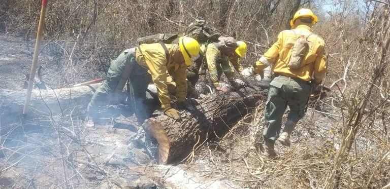Bomberos de la gobernación /Incendios/ Foto: Gobernación de Santa Cruz