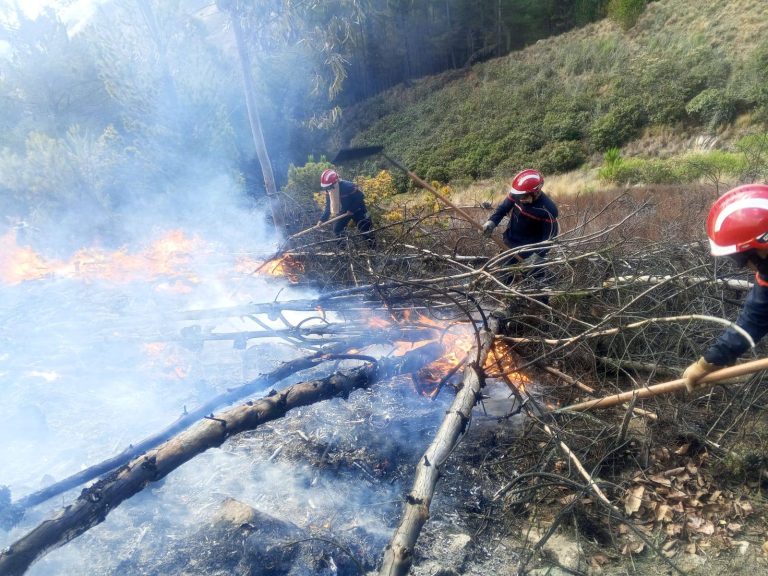 Mitigación del fuego en Colomi /Foto: Vmin. Defensa Civil/